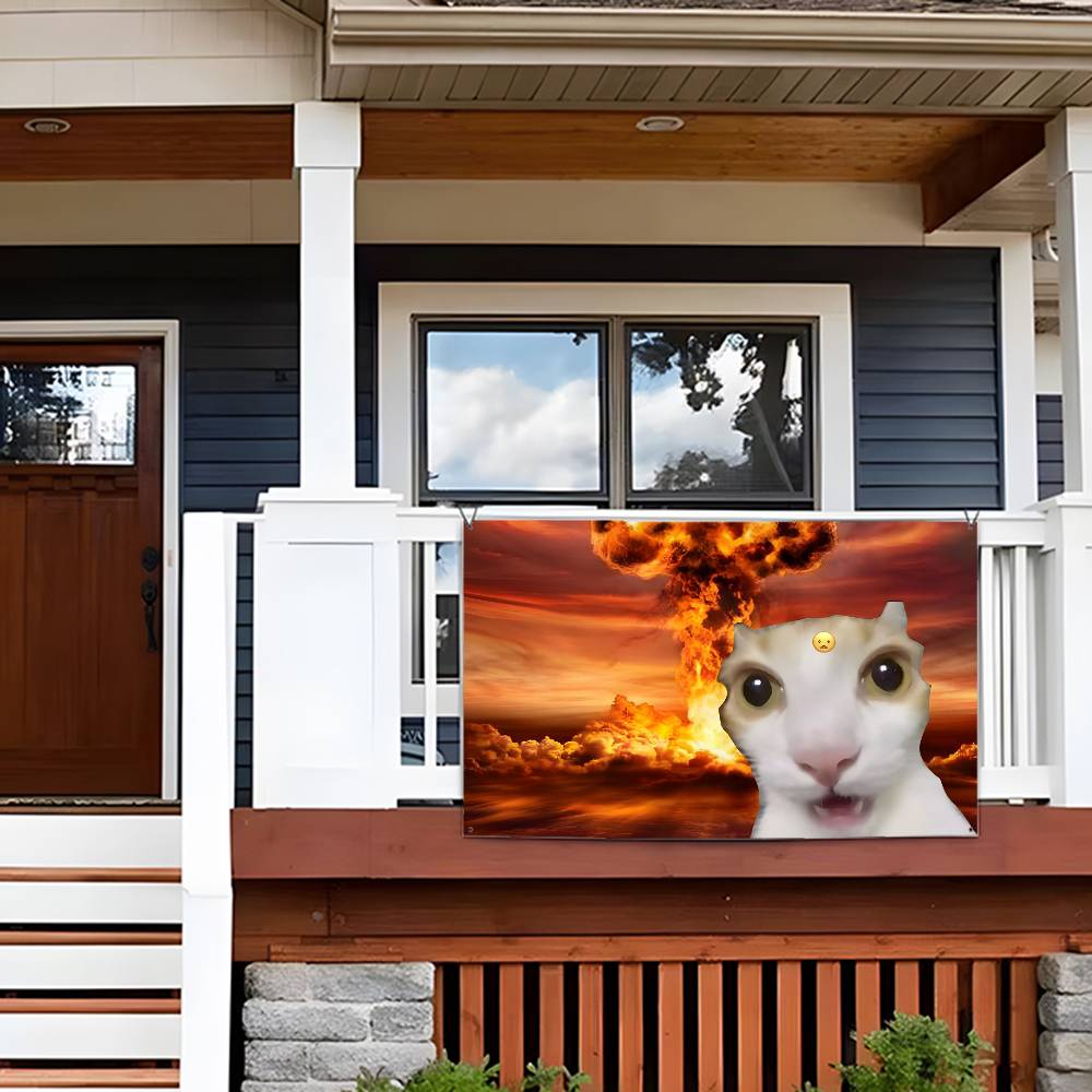 Ilginç kedi fotoğrafçılığı Bay - Photography Interest incelemesi ve fiyatı